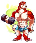  abs anthro barefoot biceps boxer_briefs bulge canine claws clothed clothing dog facial_hair fur half-dressed husky male mammal muscles plain_background smile solo star super-tuler tan_line toe_claws toes topless underwear weights white_background 