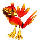  avian banjo-kazooie feathers female green_eyes kazooie official_art solo 