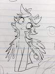  equine fan_character feral glacierclear mammal my_little_pony pegasus sitting sketch solo wings 