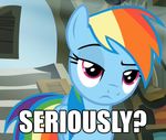  blue_body cartoon english_text equine eyelashes female feral friendship_is_magic hair image_macro mammal multicolored_hair my_little_pony pegasus purple_eyes rainbow rainbow_dash_(mlp) rainbow_hair rainbow_tail reaction_image screencap solo text wings 