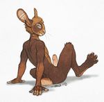  2015 anthro claws erection humanoid_penis lagomorph looking_back male mammal nude paws penis piercing rabbit sayuncle sitting solo uncut 