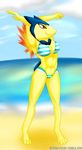  anthro beach bikini breasts clothed clothing female mammal nintendo pok&eacute;mon red_eyes seaside skydog solo swimsuit typhlosion video_games 