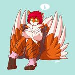  blazbaros breasts canine chest_tuft clothing embarrassed female fox fur green_eyes hair hoodie invalid_tag mammal orange_fur red_hair shorts socks solo sweat sweatdrop torn_clothing tuft wings 