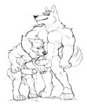  blush canine embarrassed erection father male mammal muscles parent penis precum sketch son sweat were werewolf wolfyama 
