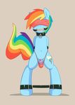  bound collar dildo equine female friendship_is_magic grumblepluck hair mammal my_little_pony navel pegasus pussy rainbow_dash_(mlp) sex_toy simple_background solo wings 