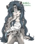  blue_eyes blue_hair ehime_mikan feline hair kemono leopard long_hair mammal 