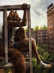  2015 anthro apartments bandage brown_eyes brown_fur city cityscape claws clothing cloud fur kenket male mammal marten mustelid outside paws post_apocalyptic ruins shirt shorts sitting solo tank_top tay vines 