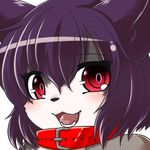  cat ehime_mikan feline female hair kemono mammal open_mouth purple_hair red_eyes short_hair 