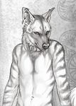  2015 anthro clothed clothing collar ear_piercing fur half-dressed hyena looking_at_viewer male mammal nude piercing portrait rukis solo striped_body striped_hyena stripes symbol 