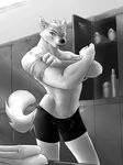  bulge canine dustin_ashtail locker_room mammal muscles neph wolf 