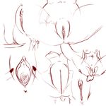  anthro anus breasts clitoris female pussy queenkami spreading 