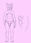  4_toes anthro bobtail bulge butt cat chest_tuft clothing feline front_view fur girly hair hand_on_hip looking_at_viewer male mammal neck_fluff nipples pink_background plain_background short_tail solo thick_thighs toes tuft underwear wide_hips xouual 