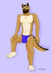  anthro canine clothing color derrik dog dude full_color german_shepherd invalid_color male male/male mammal muscles shading smoothwag thong underwear 