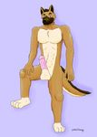  anthro canine color derrik dog dude full_color german_sheppard invalid_color invalid_tag male male/male mammal muscles penis shading smoothwag thick_cock 