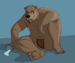  arm_support bear carpemortem_(artist) chubby clothing drink hi_res male mammal overweight piercing simple_background underwear 