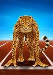  2015 ambiguous_gender anthro athlete cheetah claws crouching deyvarah digitigrade feline fur looking_at_viewer male mammal nude orange_eyes orange_fur paws race running small_ears sports spots track whiskers 