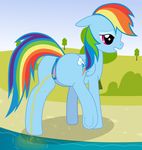  2015 animal_genitalia anus butt clitoris cutie_mark dark_genitals equine female feral friendship_is_magic hair hi_res mammal my_little_pony nervous open_mouth peeing peeing_in_a_lake peeing_in_water pegasus pussy rainbow_dash_(mlp) raised_leg solo underhoof urine watersports wings yellowhorse_(artist) 