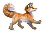  2015 ambiguous_gender canine cute feral fox mammal orange_eyes plain_background shinigamigirl solo white_background 