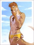  abs anthro biceps bulge chest_tuft clothing feralise fur male muscles pecs tuft underwear yellow_eyes 