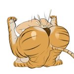  anthro anus breasts butt cum cum_in_pussy cum_inside feline female human lying male mammal missionary_position nude on_back penetration rampage0118 sex spread_legs spreading tiger vaginal vaginal_penetration 