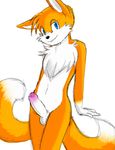  anthro balls canine erection fox humanoid_penis male mammal miles_prower penis solo sonic_(series) uncut vidfox 