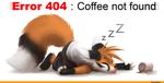  canine clothing coffee cup fox mammal sleeping thanshuhai 