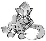  canine is_(artist) lupe mammal presenting pussy sonic_(series) wolf 