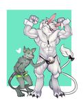 clothing erection feline league_of_legends lion male male/male mammal mouse pantsing penis rengar rodent swimming_trunks swimsuit thong unknown_artist video_games 