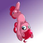  2015 behind-space clothing cute earth_pony equine female feral friendship_is_magic horse mammal my_little_pony pinkie_pie_(mlp) pony solo 