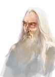 beard christopher_lee commentary english_commentary facial_hair highres long_hair lord_of_the_rings male_focus old_man rosalind_winteremere saruman simple_background solo upper_body white white_background white_hair 