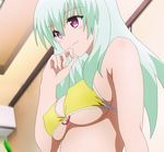  1girl bikini breasts female green_hair ig_port long_hair red_eyes run_elsie_jewelria screencap smile solo swimsuit to_love-ru to_love-ru_darkness xebec 