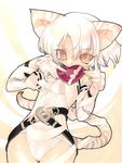  :3 animal_ears animal_print belt blade_(galaxist) cat_ears chocolate chocolate_heart covering_mouth cowboy_shot gift heart leotard loose_belt orange_eyes original ribbon sepia_background short_hair solo tail tiger_ears tiger_print tiger_tail valentine white white_hair 