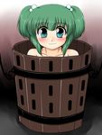  akatuki_(yamina) aqua_eyes bucket green_hair in_bucket in_container kisume short_hair solo touhou twintails 