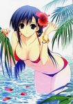  absurdres bikini bracelet breasts cleavage fingernails flower hair_flower hair_ornament hibiscus highres jewelry large_breasts leaning_forward looking_at_viewer nail_polish navel ocean petals red_bikini red_nails scan solo suzuhira_hiro swimsuit wading water 