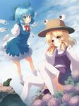  blonde_hair blue_dress blue_eyes blue_hair blue_sky bow cirno cloud day dress flower frog gengetsu_chihiro hair_bow hair_ribbon hat highres hydrangea ice ice_wings long_hair moriya_suwako multiple_girls open_mouth puffy_short_sleeves puffy_sleeves purple_eyes ribbon shirt short_sleeves sitting skirt skirt_set sky thighhighs touhou vest white_legwear wide_sleeves wings 