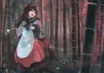  animal_ears bamboo bamboo_forest brooch brown_eyes brown_hair forest ichiba_youichi imaizumi_kagerou jewelry long_sleeves nature open_mouth shirt skirt solo touhou wide_sleeves wolf_ears 