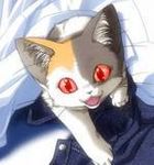  calico cat clothes fang fangs icon kitten lowres red_eyes 