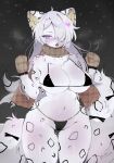 2023 anthro big_breasts blush breasts clothed clothing digital_media_(artwork) felid female fur hair handwear hi_res looking_at_viewer mammal mei_kemo midriff mittens navel pantherine purple_eyes skimpy snow_leopard solo spots spotted_body spotted_fur white_body white_fur white_hair