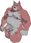 2023 absurd_res anthro balls belly black_nose bodily_fluids canid canine canis domestic_dog genital_fluids genitals hi_res humanoid_hands kemono male mammal moobs musclegut navel nipples overweight overweight_male penis precum simple_background solo ujishiyo white_background