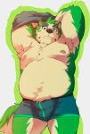 2023 absurd_res belly black_nose bulge canid canine canis clothing domestic_dog green_body heylaw21 hi_res kemono lifewonders live live_a_hero male mammal mokdai moobs nipples overweight overweight_male solo underwear undressing