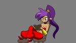  animated blue_eyes book breasts capcom chair clothing dark_skin ear_piercing female footwear genie hair humanoid long_hair navel not_furry piercing pointy_ears ponytail purple_hair shantae shantae_(series) simple_background sitting smile solo video_games wayforward zedrin 