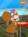 butt eating female mammal nickelodeon nude rodent sandy_cheeks sciurid sitting solo spanky15 spongebob_squarepants tree_squirrel