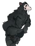 absurd_res anthro balls black_body black_fur blush blush_lines bone butt claws fangs feet fur genitals hi_res hindpaw kogito mal0 male malo mammal muscular muscular_anthro muscular_male nipples nude pawpads paws pecs skull skull_head solo tail teeth toe_claws toes