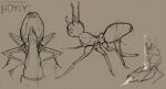 absurd_res ant antennae_(anatomy) anus arthropod arthropod_abdomen artist_logo artist_name bodily_fluids bodily_fluids_drip bodily_fluids_in_ass cum cum_in_ass cum_inside cum_on_penis cum_string cumshot ejaculation feral gaping gaping_anus genital_fluids genitals guide_lines hdyly hi_res hymenopteran insect licking logo long_tongue masturbation oral penetration penile penile_masturbation penile_penetration penis penis_in_penis penis_lick penis_on_ground sex signature sketch_page tapering_penis tongue tongue_out tonguejob urethral urethral_penetration