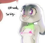 &lt;3 &lt;3_eyes 2021 anthro balls breasts clothed clothing disney doxy duo english_text erection female fur genitals grey_body grey_fur judy_hopps lagomorph leporid long_ears male male/female mammal penis purple_eyes rabbit simple_background skimpy text topwear white_background zootopia