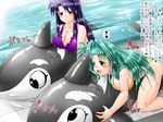  bikini blush breasts eighth_note genzaburoh green_eyes green_hair inflatable_toy inflatable_whale large_breasts lindy_harlaown lyrical_nanoha mahou_shoujo_lyrical_nanoha mahou_shoujo_lyrical_nanoha_strikers multiple_girls musical_note open_mouth poolside precia_testarossa purple_bikini purple_eyes purple_hair riding spoken_musical_note swimsuit text_focus translation_request water yellow_bikini 