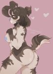 anthro bird_dog butt canid canine canis domestic_dog embarrassed female hi_res hunting_dog hybrid mammal puppersxo raccoon_dog shy slightly_chubby solo spaniel tanuki