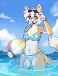 2024 anthro arcanis_(hahaluckyme) arm_tuft ball beach_ball bikini bikini_top breasts calico_cat clothing cloud countershade_torso countershading day detailed_background digital_media_(artwork) domestic_cat eyewear felid feline felis female fleurfurr fur grey_body grey_fur hi_res holding_beach_ball inflatable looking_at_viewer mammal open_mouth open_smile outside partially_submerged sarong shoulder_tuft signature sky smile solo sunglasses swimwear tuft water white_body white_fur yellow_body yellow_fur