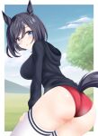  1girl alternate_costume animal_ears ass black_hair black_hoodie blue_sky blurry blurry_background blush border breasts buruma cloud cloudy_sky commentary_request eishin_flash_(umamusume) from_behind grass grey_eyes gurukorian hair_between_eyes hands_on_own_thighs highres hood hoodie horse_ears horse_girl horse_tail large_breasts long_sleeves looking_at_viewer looking_back open_mouth outdoors red_buruma short_hair sky solo tail tail_through_clothes thighhighs tree umamusume white_border white_thighhighs 