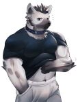 2024 absurd_res adkt anthro arknights bottomwear clothing collar eyebrow_piercing facial_piercing fur grey_body grey_fur hair hi_res hyena hypergryph looking_at_viewer male mammal markings muscular muscular_anthro muscular_male pants piercing shirt simple_background solo spot_(arknights) spots spotted_body spotted_fur spotted_hyena studio_montagne topwear